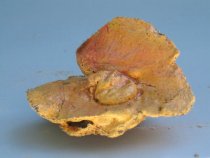 © John Michael Kohler Arts Center