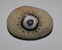 © John Michael Kohler Arts Center