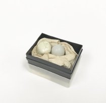 © John Michael Kohler Arts Center