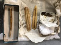 © John Michael Kohler Arts Center