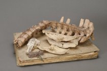 © John Michael Kohler Arts Center