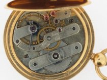 James Nardin- movement