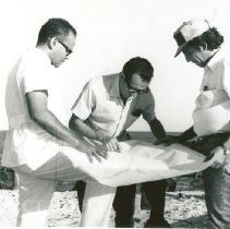 Dr. Onefre Lopes Da Silva, Jr, Admiral Tertius Rebello, Sergio Brito