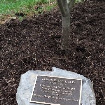Stone laid for Eldon Ellis, MD