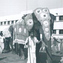 While the SS HOPE was in Ceylon.