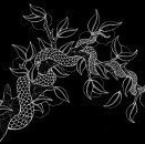 Adam Peele Portfolio design