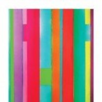 VAE Collector's Portfolio, Mia Yoon