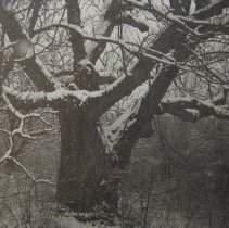 UN2012.9.24.11 Recto