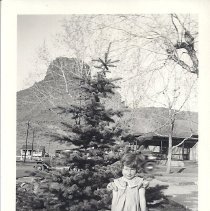 Carolyn Howe with Castle Rock