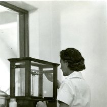 Clare Ryland working in the Coors Weighing Room