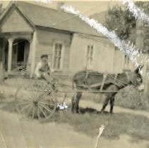 Richard Grenfell with donkey cart on 10th Street