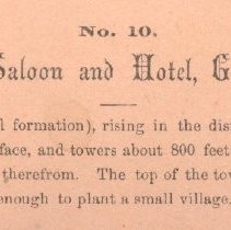 Cheney's Chicago Saloon & Billiard Hall - detail