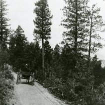 Mount Vernon Wagon Road