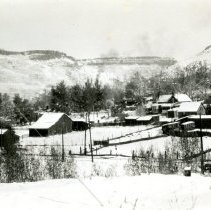 Golden in the wintertime