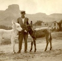Man with burros