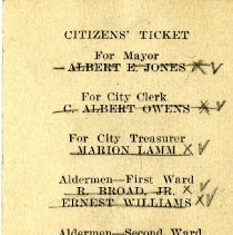 Citizen's Ticket candidate card