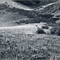 Incline trail on Lookout Mountain in Golden in 1930s
