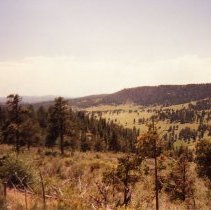 View of landscape looking SW from White Ranch Road