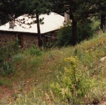 Centennial House from road behind house