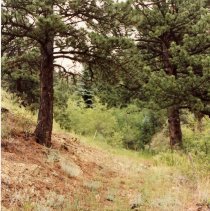 Old toll road descending a draw behind Centennial House