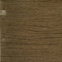 Golden DAR Pioneer Museum transcriptions