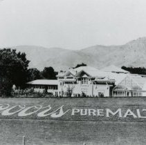 Coors Malted Milk in flowers