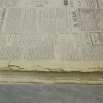 Golden Globe Dec. 1878- June 1881 detail