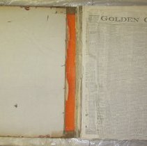 Golden Globe Dec. 1878- June 1881 detail