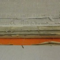 Golden Globe Dec. 1878- June 1881 detail