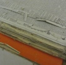 Golden Globe Dec. 1878- June 1881 detail