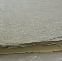 Golden Globe Dec. 1878- June 1881 detail