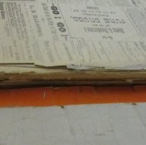 Golden Globe Dec. 1878- June 1881 detail