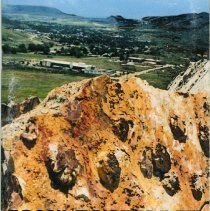 Fossil Footprints of the Dinosaur Ridge and Fossil Trace Areas