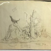 River Ride-Howling Coyote