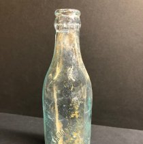 Bottle