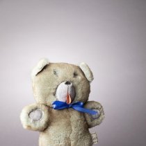Carleen's of Golden teddy bear - front
