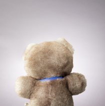 Carleen's of Golden teddy bear - back