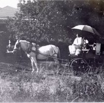 Fred Beamer on his vegetable wagon