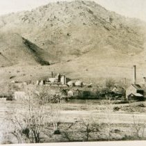 On July 15, 2024, Golden History Museum staff received a large number of do