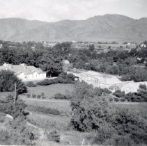 Coors Mansion and greenhouses