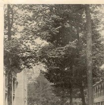 The Administration Quarter