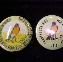 Two Chautauqua Bird, Tree and Garden Club Pins
