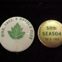 Two Chautauqua Bird, Tree and Garden Club Pins