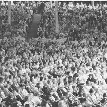 Amphitheater Audience