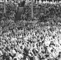 Amphitheater Congregation