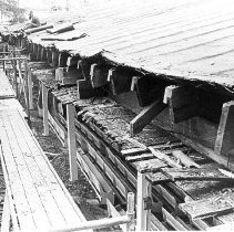 Amphitheater Roof Renewal