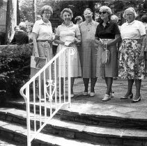 Bird, Tree & Garden Board Members