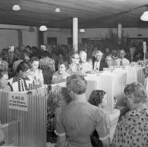 Bird & Tree Garden Club Flower Show