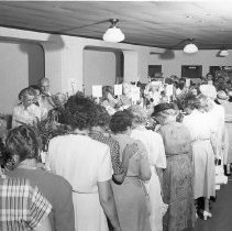 Bird & Tree Garden Club Flower Show