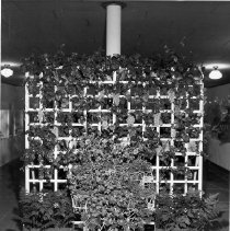 Bird & Tree Garden Club Flower Show